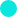 Teal Circle